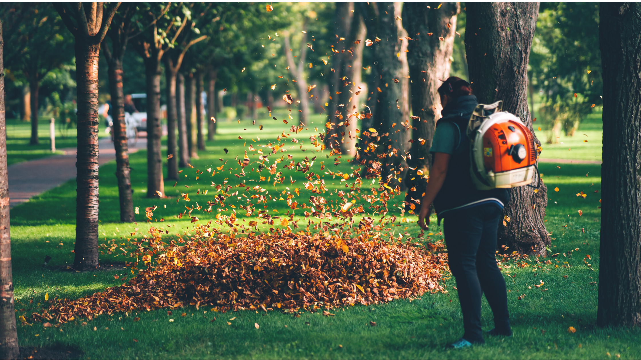 Safety for Seasonal Lone Workers